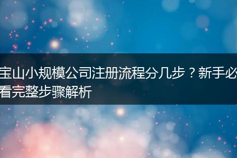 宝山小规模公司注册流程分几步?新手必看完整步骤解析