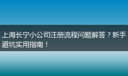 上海长宁小公司注册流程问题解答？新手避坑实用指南！