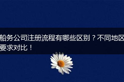 船务公司注册流程有哪些区别？不同地区要求对比！