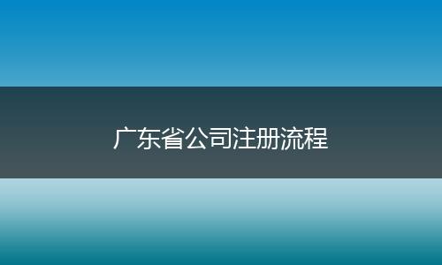 广东省公司注册流程