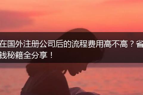 在国外注册公司后的流程费用高不高？省钱秘籍全分享！
