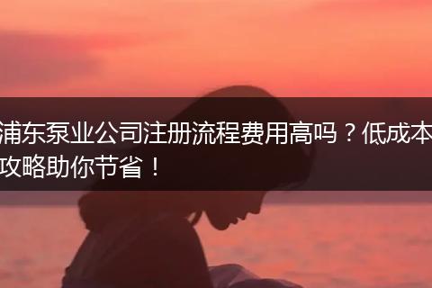 浦东泵业公司注册流程费用高吗？低成本攻略助你节省！