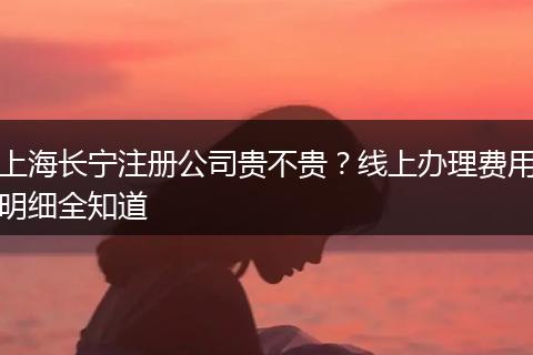 上海长宁注册公司贵不贵?线上办理费用明细全知道