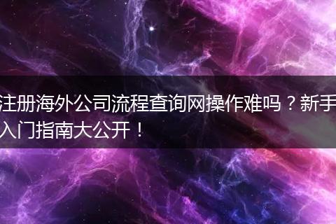 注册海外公司流程查询网操作难吗？新手入门指南大公开！
