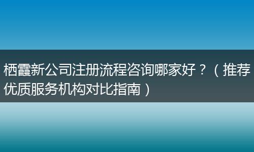 栖霞新公司注册流程咨询哪家好?(推荐优质服务机构对比指南)