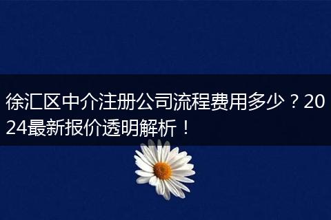 徐汇区中介注册公司流程费用多少？2024最新报价透明解析！