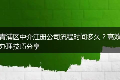 青浦区中介注册公司流程时间多久？高效办理技巧分享