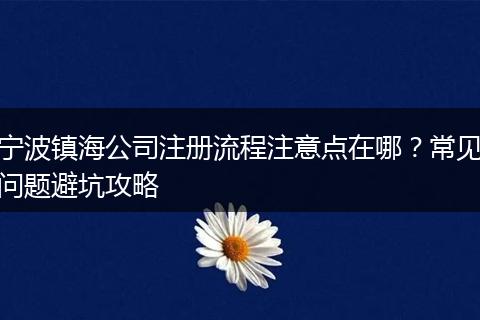 宁波镇海公司注册流程注意点在哪？常见问题避坑攻略