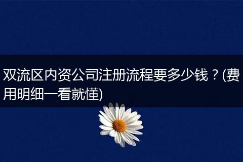 双流区内资公司注册流程要多少钱？(费用明细一看就懂)