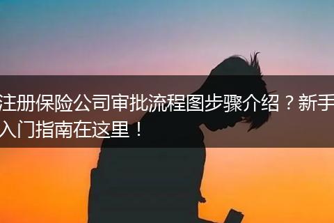 注册保险公司审批流程图步骤介绍?新手入门指南在这里!