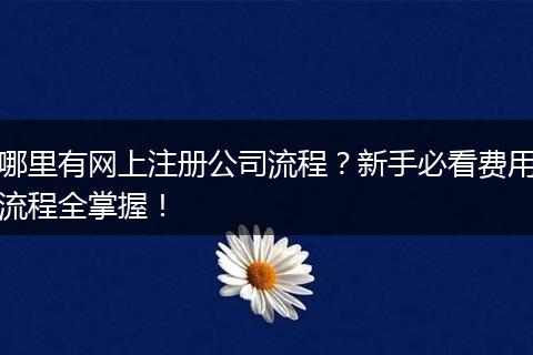 哪里有网上注册公司流程?新手必看费用流程全掌握!