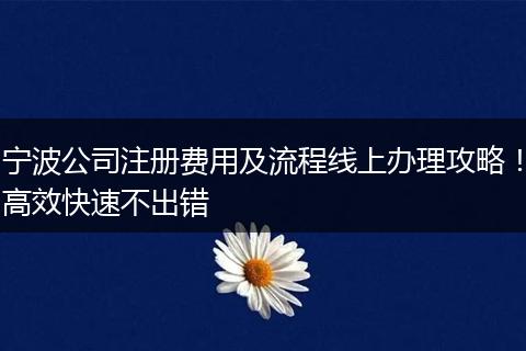 宁波公司注册费用及流程线上办理攻略！高效快速不出错