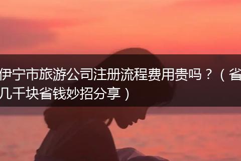 伊宁市旅游公司注册流程费用贵吗？（省几千块省钱妙招分享）