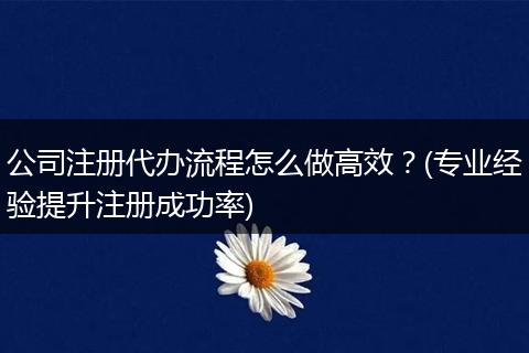 公司注册代办流程怎么做高效?(专业经验提升注册成功率)