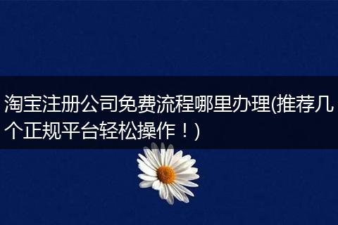 淘宝注册公司免费流程哪里办理(推荐几个正规平台轻松操作!)