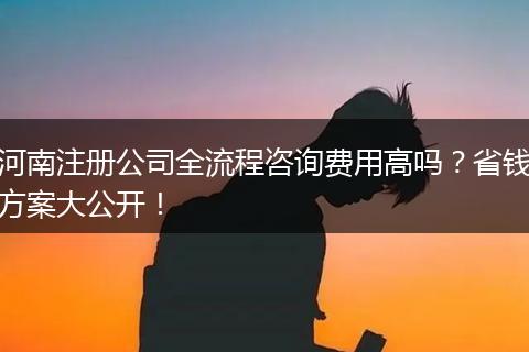 河南注册公司全流程咨询费用高吗?省钱方案大公开!
