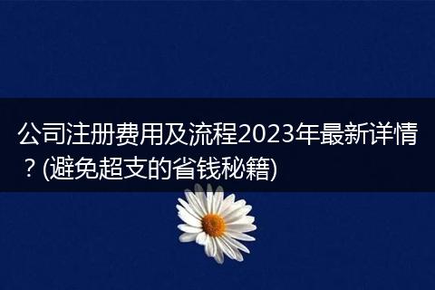 公司注册费用及流程2023年最新详情?(避免超支的省钱秘籍)