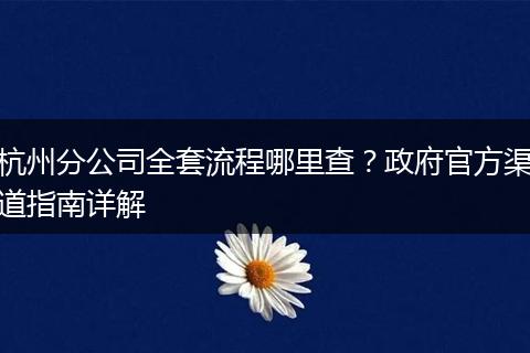 杭州分公司全套流程哪里查？政府官方渠道指南详解