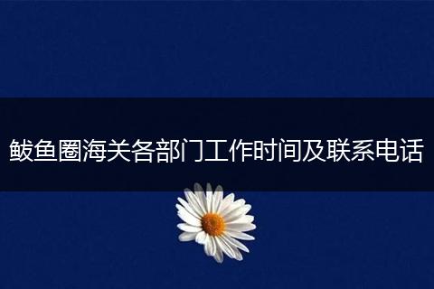 鲅鱼圈海关各部门工作时间及联系电话