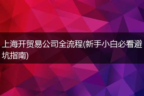 上海开贸易公司全流程(新手小白必看避坑指南)