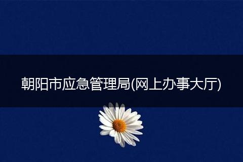 朝阳市应急管理局(网上办事大厅)