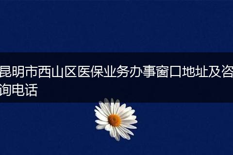 昆明市西山区医保业务办事窗口地址及咨询电话