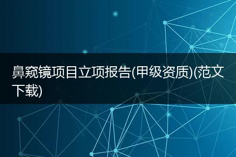 鼻窥镜项目立项报告(甲级资质)(范文下载)