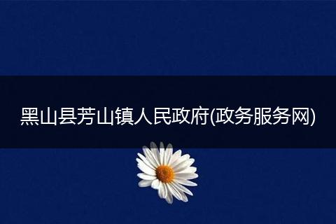 黑山县芳山镇人民政府(政务服务网)