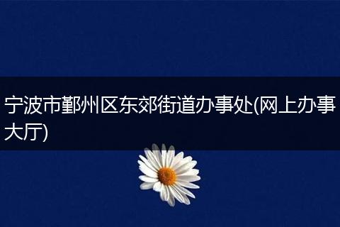 宁波市鄞州区东郊街道办事处(网上办事大厅)