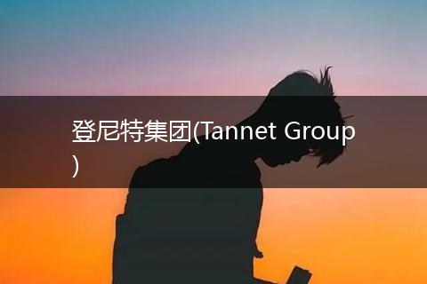 登尼特集团(Tannet Group)