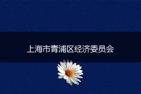上海市青浦区经济委员会