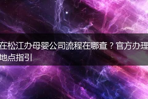 在松江办母婴公司流程在哪查？官方办理地点指引