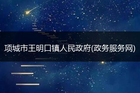项城市王明口镇人民政府(政务服务网)