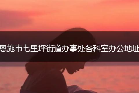 恩施市七里坪街道办事处各科室办公地址
