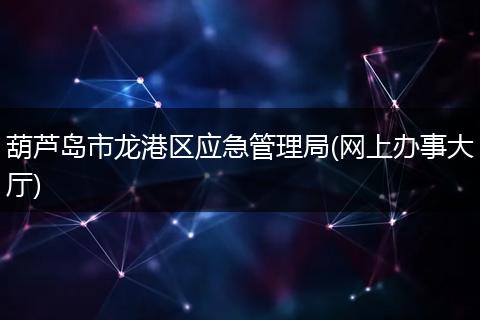 葫芦岛市龙港区应急管理局(网上办事大厅)