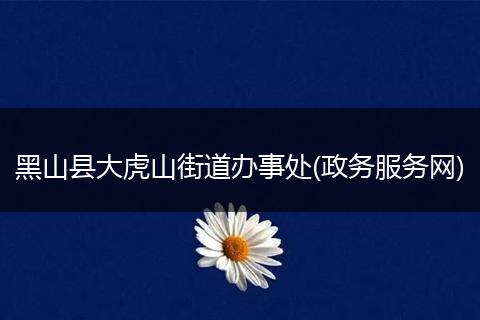黑山县大虎山街道办事处(政务服务网)