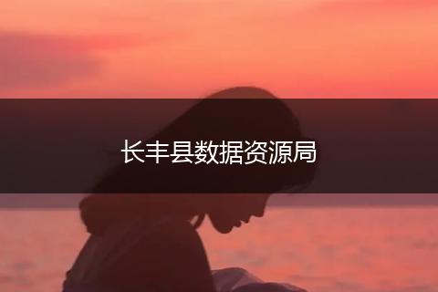 长丰县数据资源局