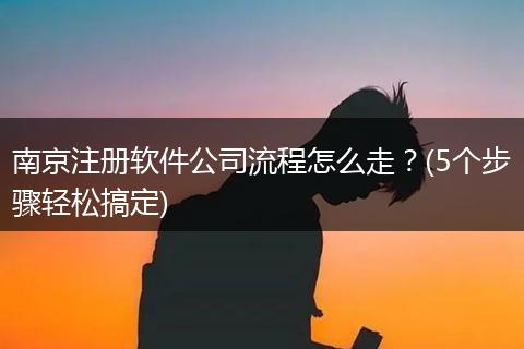 南京注册软件公司流程怎么走？(5个步骤轻松搞定)
