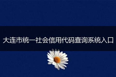 大连市统一社会信用代码查询系统入口