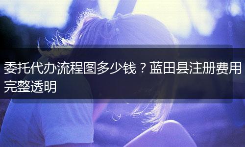 委托代办流程图多少钱？蓝田县注册费用完整透明