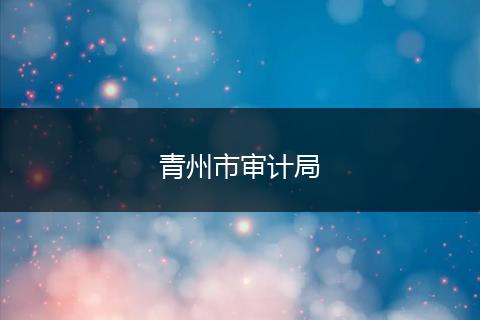 青州市审计局