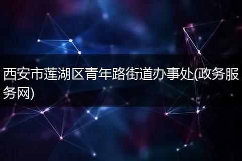 西安市莲湖区青年路街道办事处(政务服务网)