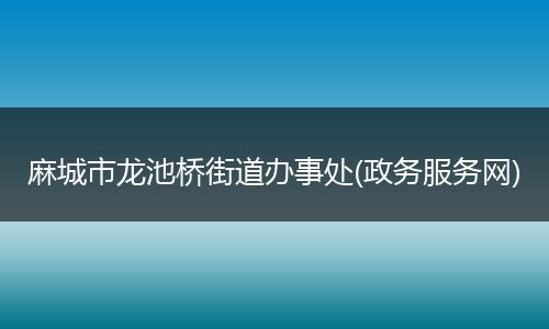 麻城市龙池桥街道办事处(政务服务网)