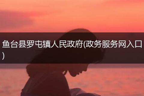 鱼台县罗屯镇人民政府(政务服务网入口)
