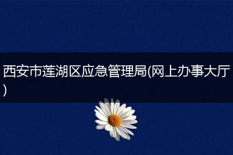 西安市莲湖区应急管理局(网上办事大厅)