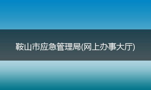 鞍山市应急管理局(网上办事大厅)