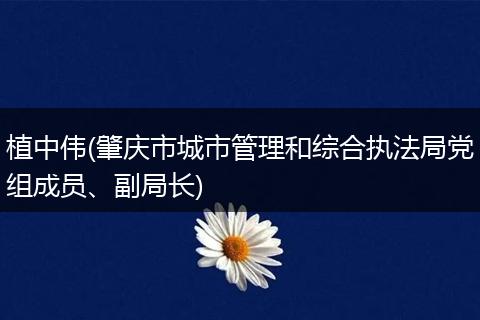 植中伟(肇庆市城市管理和综合执法局党组成员、副局长)