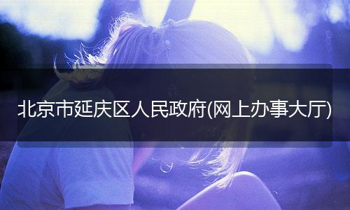 北京市延庆区人民政府(网上办事大厅)