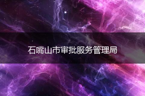 石嘴山市审批服务管理局