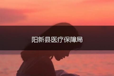 阳新县医疗保障局